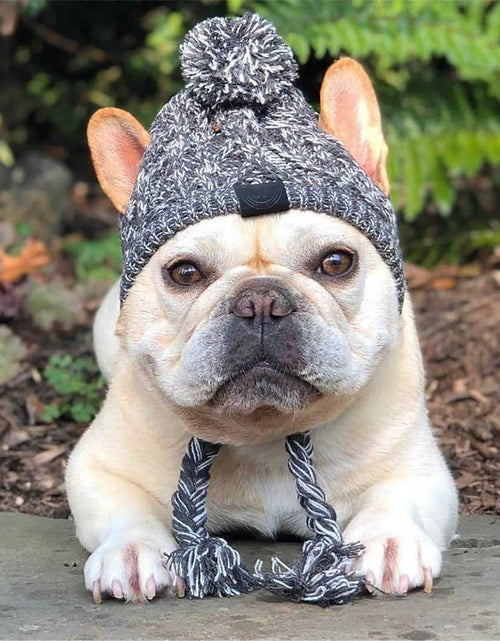 Load image into Gallery viewer, Winter Warm Dog Hats Windproof Knitting French Bulldog Hat for Dogs Chihuahua Hat Fluffy Ball Puppy Accessories Pet Hats
